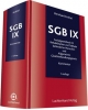 SGB IX Kommentar - Bernhard Knittel