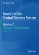 Tumors of the  Central Nervous System, Volume 2 - M.A. Hayat