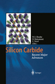 Silicon Carbide - Wolfgang J. Choyke; Hiroyuki Matsunami; Gerhard Pensl