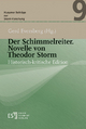 Der Schimmelreiter. Novelle von Theodor Storm: Historisch-kritische Edition (Husumer Beiträge zur Storm-Forschung (HuB) 9)