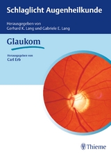 Schlaglicht Augenheilkunde: Glaukom - Carl Erb, Gerhard K. Lang, Gabriele E. Lang