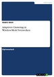 Adaptives Clustering in Wireless-Mesh-Netzwerken - André Stein