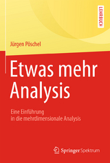 Etwas mehr Analysis - Jürgen Pöschel