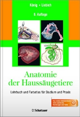 Anatomie der Haussäugetiere - König, Horst Erich; Liebich, Hans-Georg