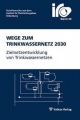 Wege zum Trinkwassernetz 2030 - Friedrike Rüffer; Thomas Wegener