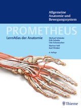 PROMETHEUS Allgemeine Anatomie und Bewegungssystem - Schünke, Michael; Schulte, Erik; Schumacher, Udo