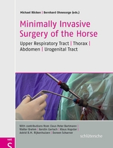 Minimally invasive surgery of the Horse - 