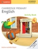 Cambridge Primary English Activity Book 4 by Sally Burt Paperback | Indigo Chapters