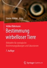 Müller/Bährmann Bestimmung wirbelloser Tiere - Köhler, Günter
