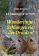 Wunderlinge - Schlangeneier der Druiden?: Faszination Kraftorte Heike Antons Author