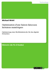 Optimisation d'une liaison faisceaux hertziens numériques - Michael Wiehl