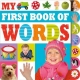 My First Book of Words - Make Believe Ideas
