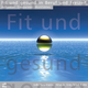 Fit und gesund in Beruf und Freizeit - Auftanken · Entspannen · Wohlfühlen - Siegfried Fietz; Udo Neumann