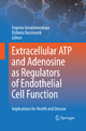 Extracellular ATP and adenosine as regulators of endothelial cell function: Implications for health and disease
