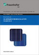 Co-Diffusion for Bifacial N-Type Solar Cells (Solare Energie- Und Systemforschung)
