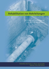 Rehabilitation von Rohrleitungen - 