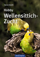 Hobby Wellensittich-Zucht - Carola Knecht