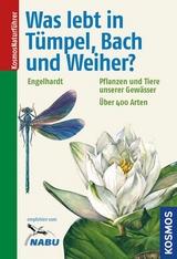Was lebt in Tümpel, Bach und Weiher? - Wolfgang Engelhardt, Peter Martin, Klaus Rehfeld