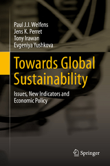 Towards Global Sustainability - Paul J.J. Welfens, Jens K. Perret, Tony Irawan, Evgeniya Yushkova
