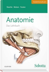 Sobotta Lehrbuch Anatomie - 