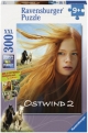 Ostwind (Kinderpuzzle), Ostwind 2 - Katja von Garnier