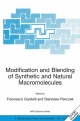 Modification and Blending of Synthetic and Natural Macromolecules - Francesco Ciardelli;  Stanislaw Penczek