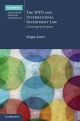 The WTO and International Investment Law - Jurgen Kurtz