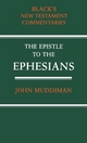 The Epistle to the Ephesians - John Muddiman