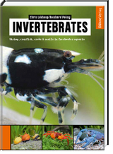 Invertebrates - Chris Lukhaup, Reinhard Pekny