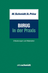 BilRUG in der Praxis - Marc Schmidt, Andrea Prinz