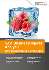 SAP BusinessObjects Analysis - Einführung, Migration, Grundlagen - Zeynep Karakaya, Angelika Bode