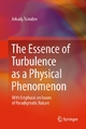 The Essence of Turbulence as a Physical Phenomenon - Arkady Tsinober
