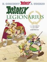 Asterix latein 13 - Goscinny, René; Uderzo, Albert