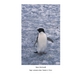 Impressionen einer Antarktis Reise - Anne Reichardt