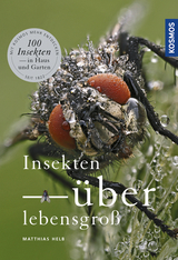 Insekten überlebensgroß - Matthias Helb