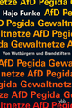 Von Wutbürgern und Brandstiftern: AfD - Pegida - Gewaltnetze