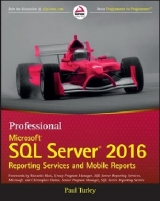 Professional Microsoft SQL Server 2016 Reporting Services and Mobile Reports - Turley, Paul