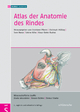 Atlas der Anatomie des Rindes: Inklusive Supplement