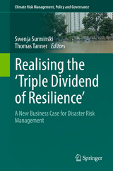 Realising the 'Triple Dividend of Resilience' - 
