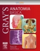 Gray Anatomia Básica - Richard Drake;  Adam W. M. Mitchell;  A. Wayne Vogl