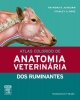 Atlas Colorido De Anatomia Veterinária Dos Ruminantes - Raymond Ashdown;  Stanley H. Done