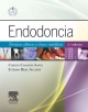 Endodoncia + StudentConsult en español - Carlos Canalda Sahli;  Esteban Brau Aguadé