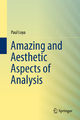 Amazing and Aesthetic Aspects of Analysis - Paul Loya
