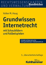 Grundwissen Internetrecht -  Volker M. Haug