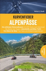 Kurvenfieber Alpenpässe - Heinz E. Studt
