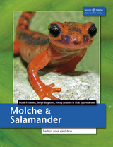 Molche und Salamander halten und züchten - Pasmans, Frank; Bogaerts, Sergé; Janssen, Henry; Sparreboom, Max