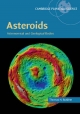 Asteroids: Astronomical and Geological Bodies (Cambridge Planetary Science, Band 17)