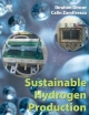 Sustainable Hydrogen Production by Ibrahim Dincer Paperback | Indigo Chapters