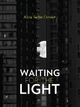 Waiting For The Light by Alicia Ostriker Paperback | Indigo Chapters