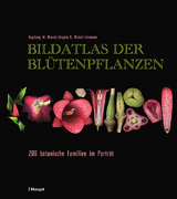 Bildatlas der Blütenpflanzen - Ingeborg M. Niesler, Angela K. Niebel-Lohmann